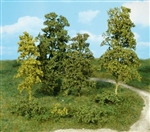 Heki 1671 - Zestaw 15 drzew i krzewów