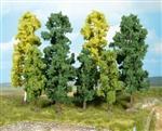 38 drzewek 10-18 cm